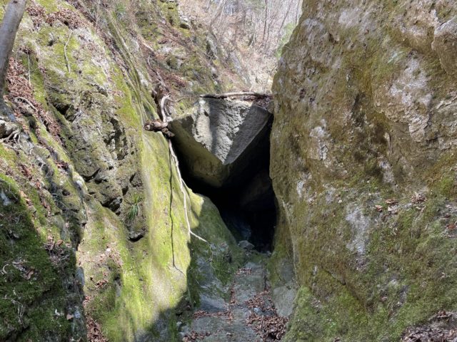 中川川トリキ沢