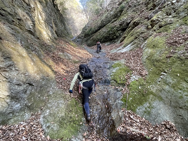 中川川大滝沢藤嵐沢