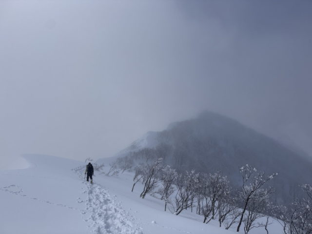 タカマタギ・日白山