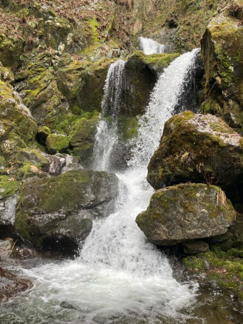 奥多摩　唐松谷